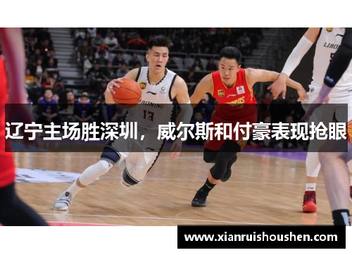 辽宁主场胜深圳，威尔斯和付豪表现抢眼